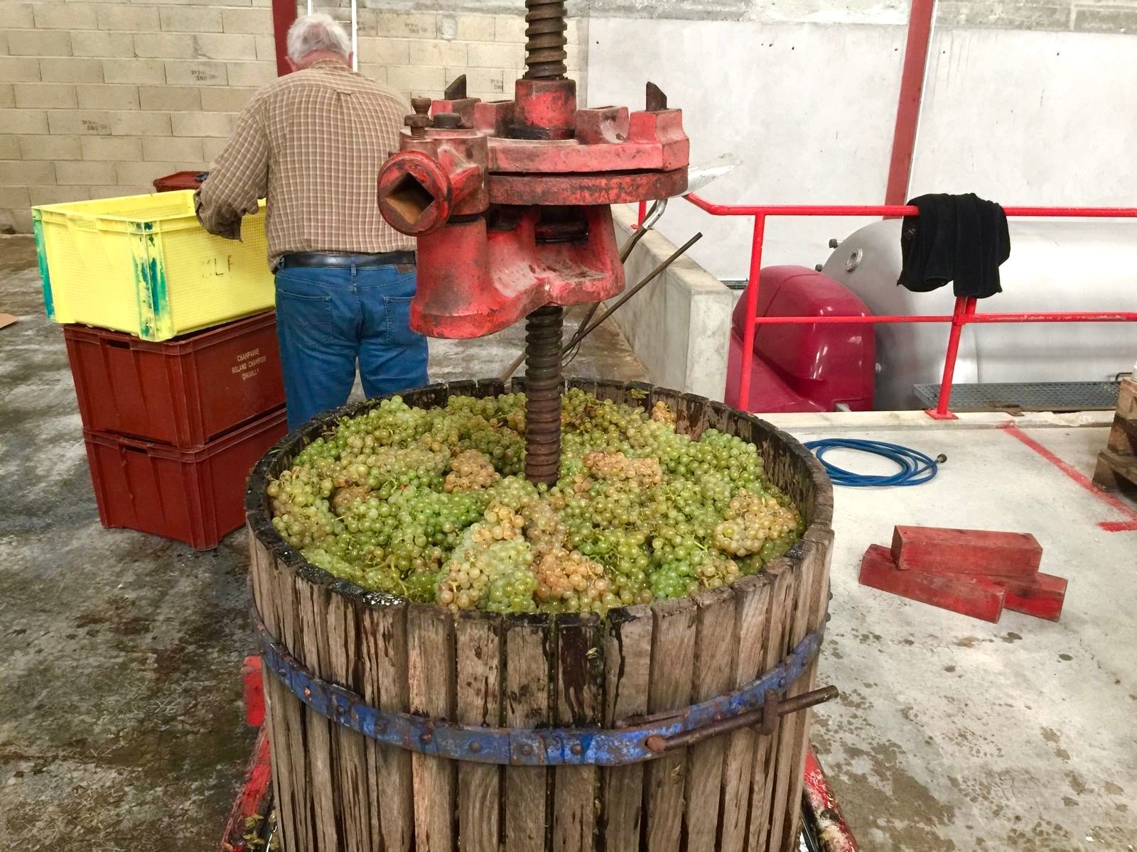 Processus de vinification